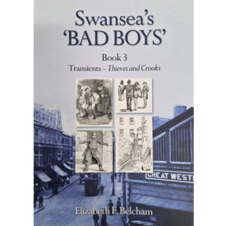 Swansea's 'Bad Boy's. Book 3, Transients ~ Thieves and Crooks